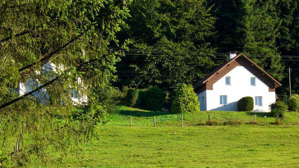 Logis Hotel Restaurant La Vigotte Girmont-Val-dʼAjol Eksteriør billede