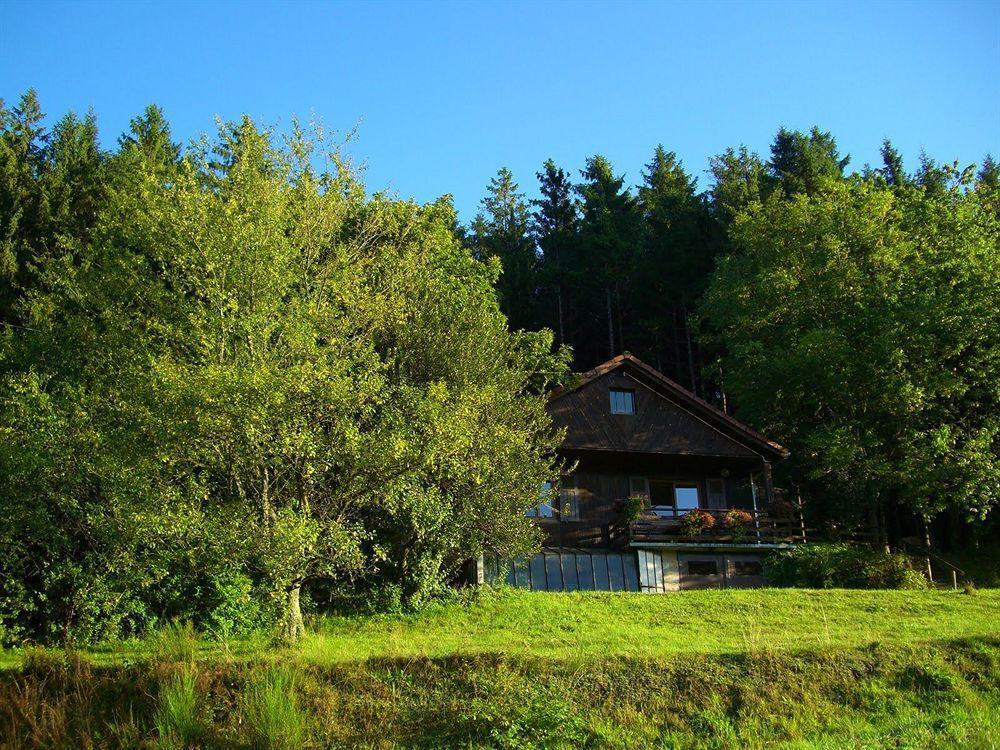 Logis Hotel Restaurant La Vigotte Girmont-Val-dʼAjol Eksteriør billede