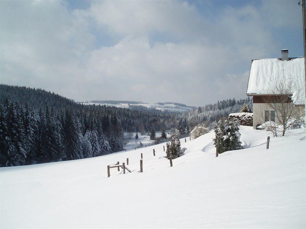 Logis Hotel Restaurant La Vigotte Girmont-Val-dʼAjol Eksteriør billede