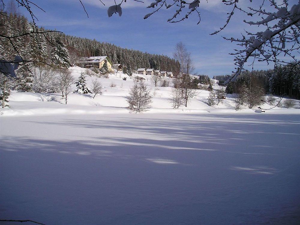 Logis Hotel Restaurant La Vigotte Girmont-Val-dʼAjol Eksteriør billede