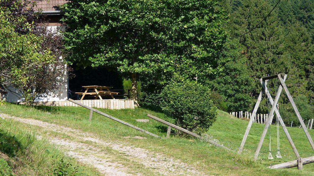 Logis Hotel Restaurant La Vigotte Girmont-Val-dʼAjol Eksteriør billede