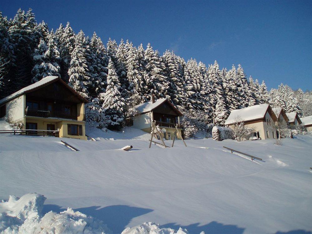 Logis Hotel Restaurant La Vigotte Girmont-Val-dʼAjol Eksteriør billede