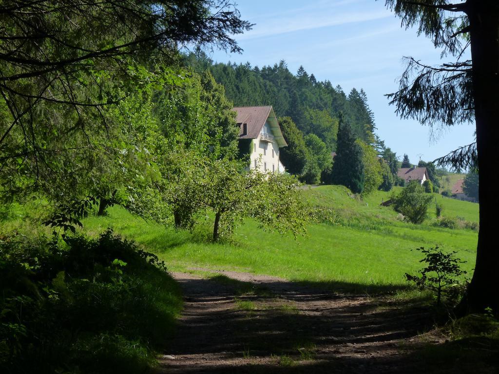 Logis Hotel Restaurant La Vigotte Girmont-Val-dʼAjol Eksteriør billede