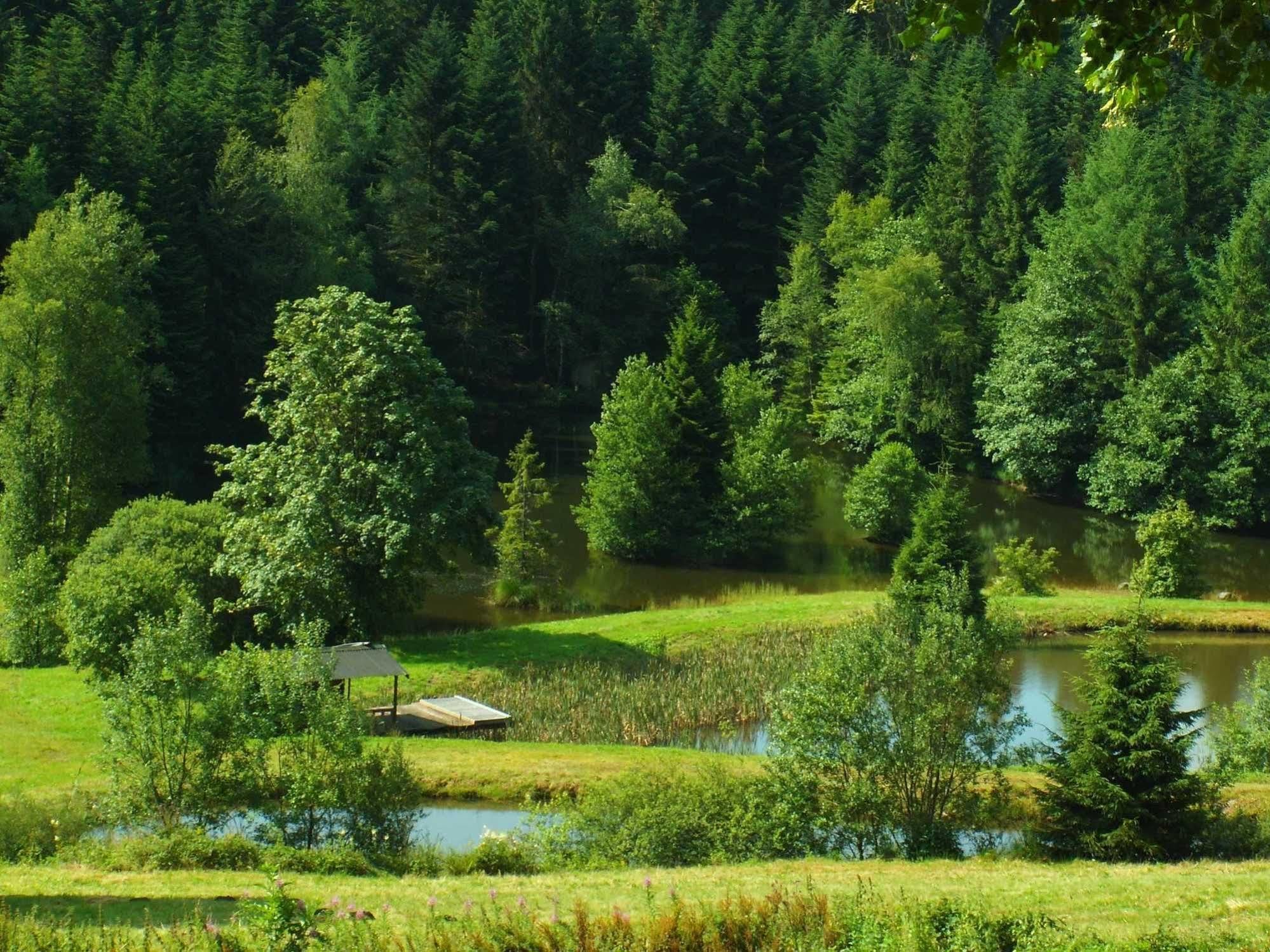 Logis Hotel Restaurant La Vigotte Girmont-Val-dʼAjol Eksteriør billede