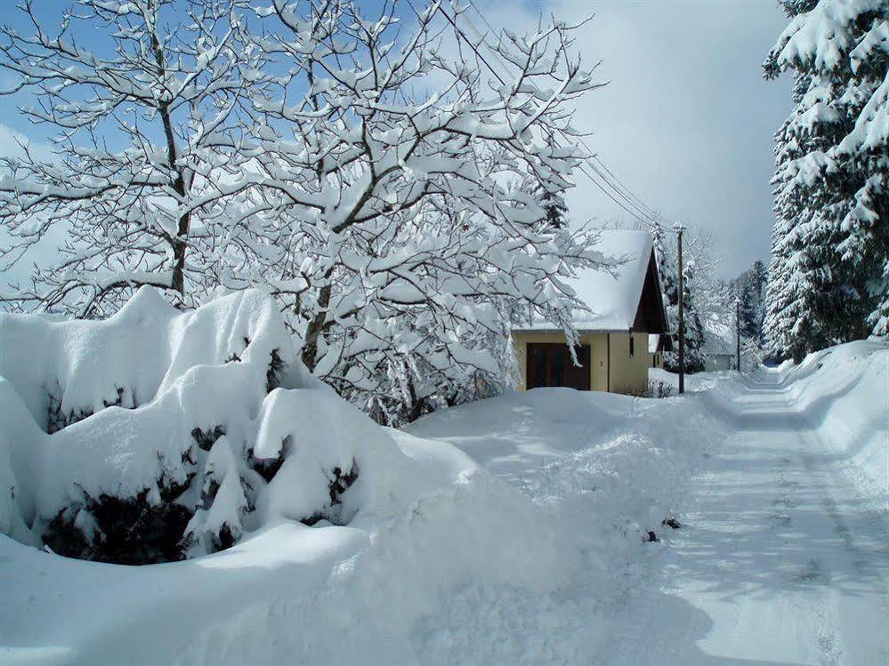 Logis Hotel Restaurant La Vigotte Girmont-Val-dʼAjol Eksteriør billede