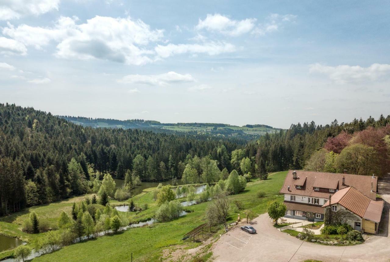 Logis Hotel Restaurant La Vigotte Girmont-Val-dʼAjol Eksteriør billede